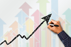 Strong revenue growth for SME. Profit growth slows.