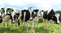 Bereken btw op voorraad dieren en agro-producten