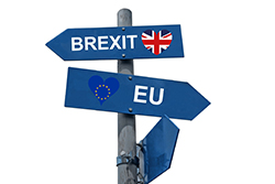 Tax transition laws concerning a hard Brexit