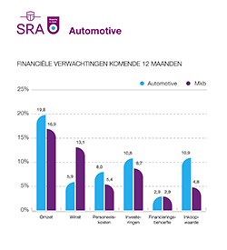 2020 in Zicht Grafiek Automotive