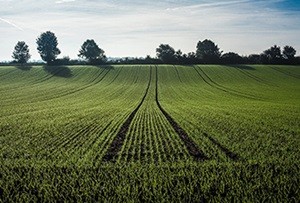 Extra mogelijkheid aanvraag voorschot GLB-subsidies